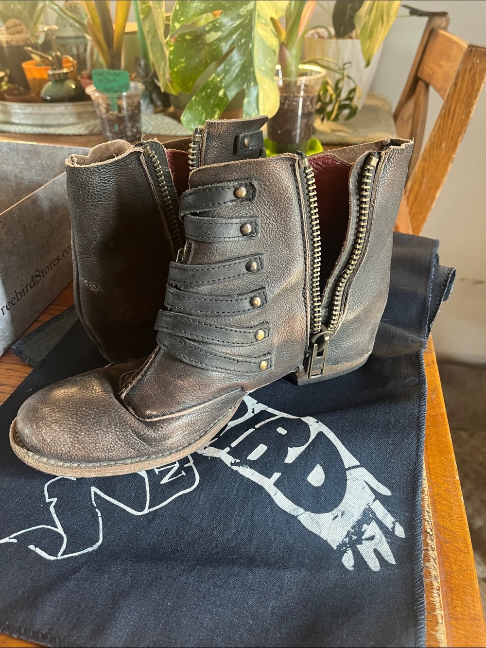 Freebird by Steven Limerick Brown Leather Lace-Up Zip Ankle Boots - Picture 5 of 8